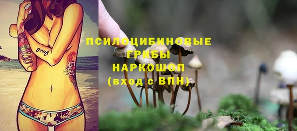 шишки Вязьма