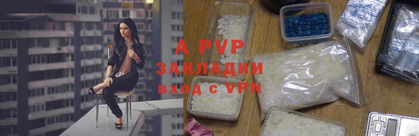 ГАЛЛЮЦИНОГЕННЫЕ ГРИБЫ Вязники