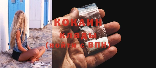 шишки Вязьма