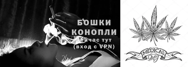 ГАЛЛЮЦИНОГЕННЫЕ ГРИБЫ Вязники