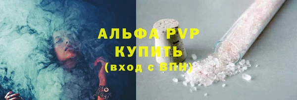 ГАЛЛЮЦИНОГЕННЫЕ ГРИБЫ Вязники