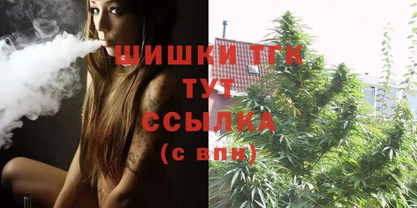 ГАЛЛЮЦИНОГЕННЫЕ ГРИБЫ Вязники