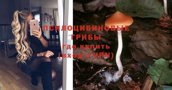 ГАЛЛЮЦИНОГЕННЫЕ ГРИБЫ Вязники