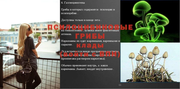 шишки Вязьма