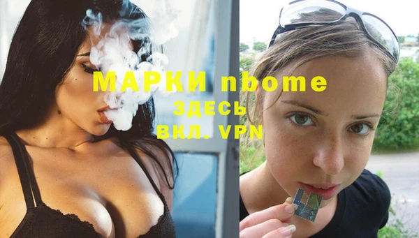 шишки Вязьма
