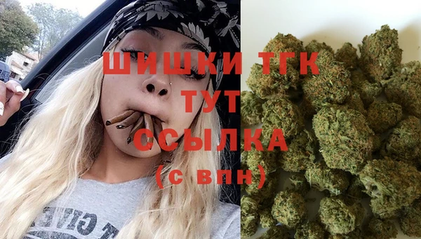шишки Вязьма